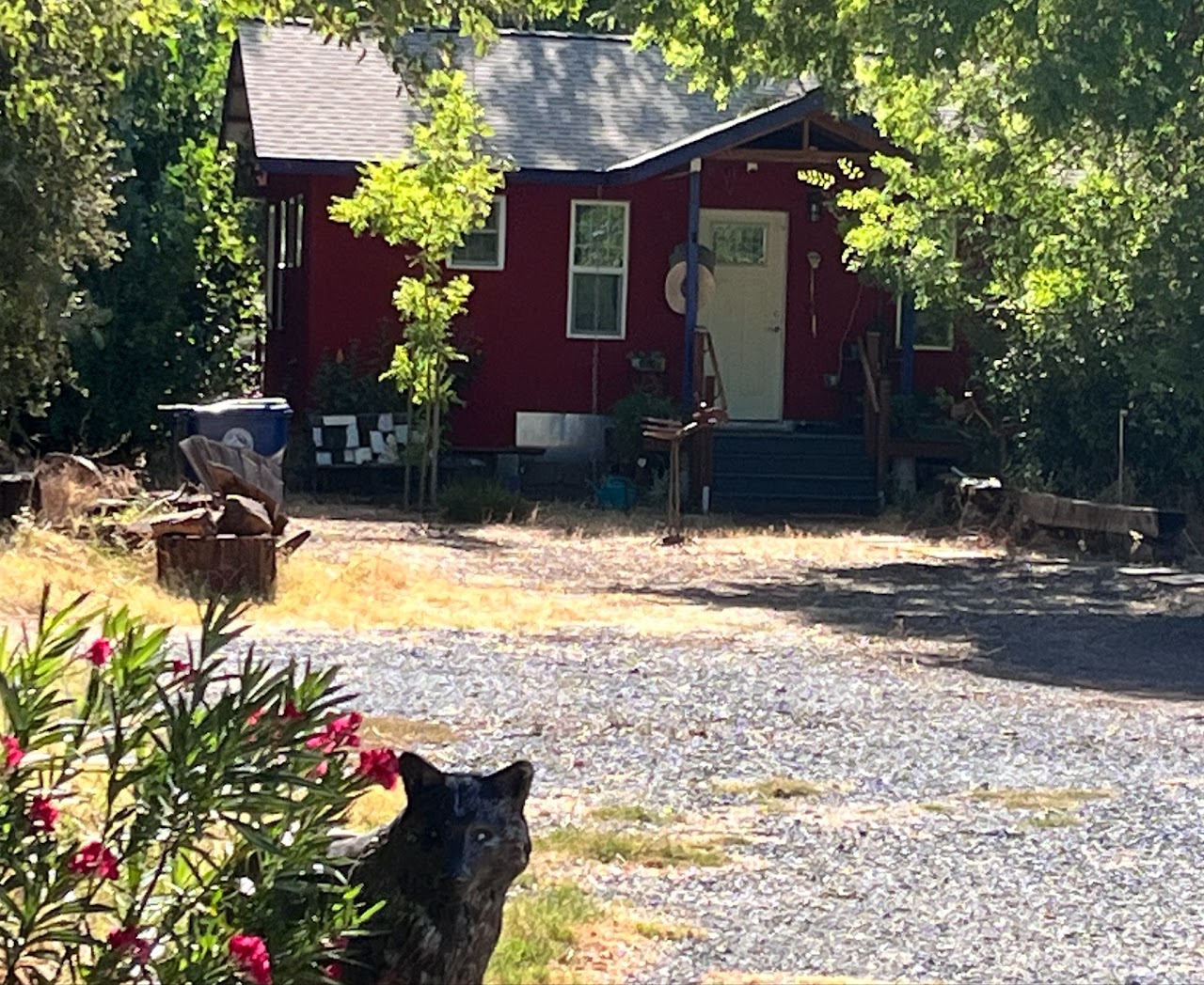 Red Cottage among trees
